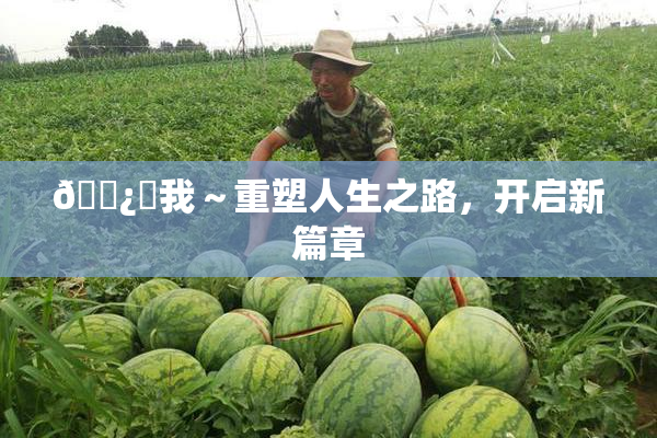 🌿‌我～重塑人生之路，开启新篇章
