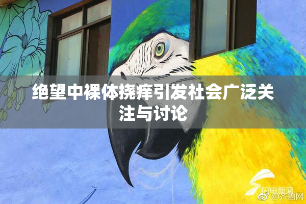 绝望中裸体挠痒引发社会广泛关注与讨论