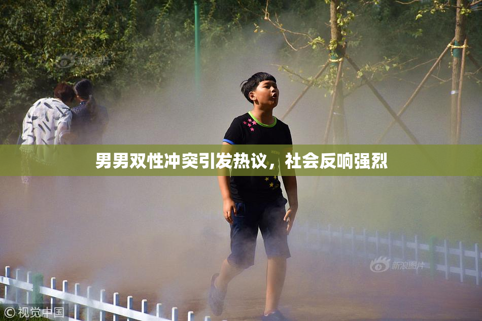 男男双性冲突引发热议，社会反响强烈
