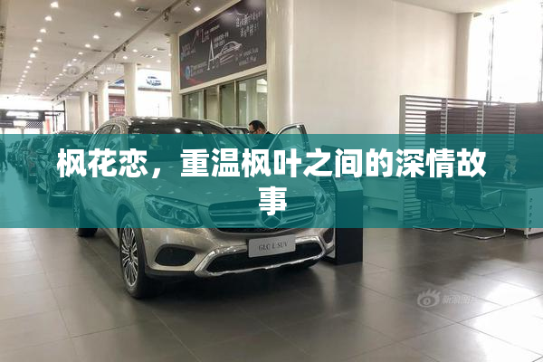 枫花恋，重温枫叶之间的深情故事