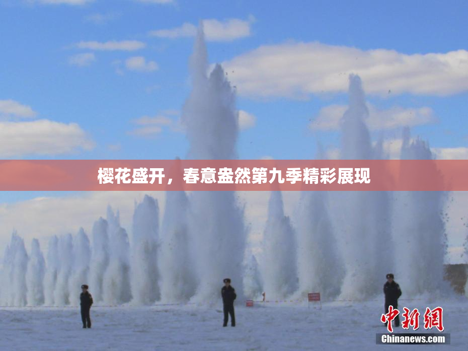 樱花盛开，春意盎然第九季精彩展现