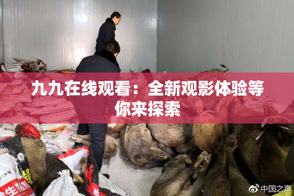 九九在线观看：全新观影体验等你来探索