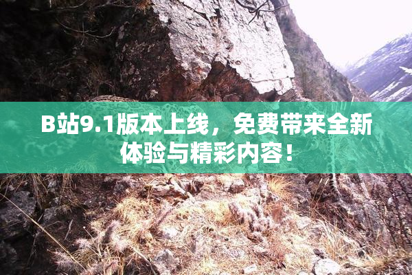 B站9.1版本上线，免费带来全新体验与精彩内容！