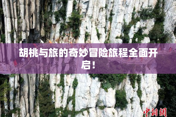 胡桃与旅的奇妙冒险旅程全面开启！