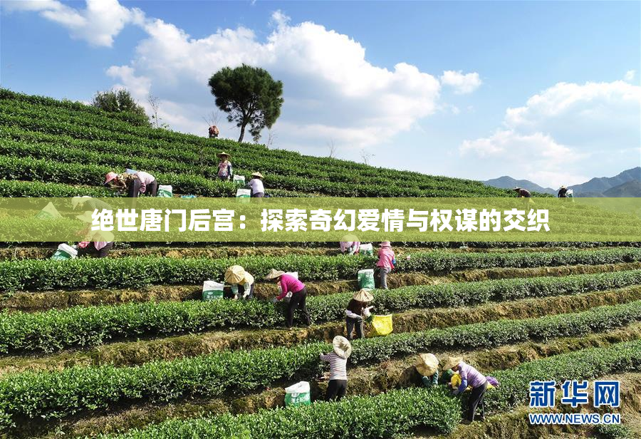 绝世唐门后宫：探索奇幻爱情与权谋的交织