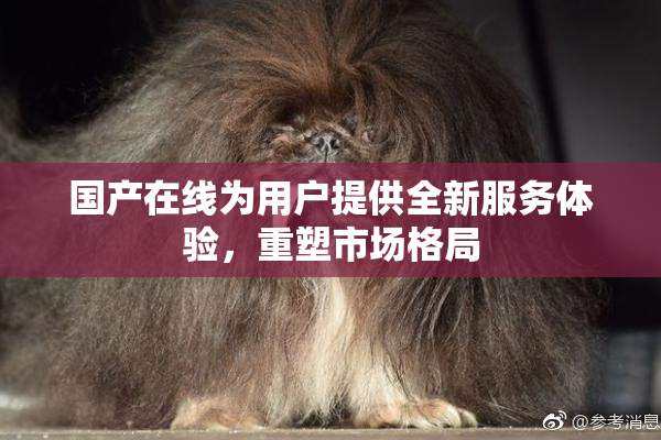 国产在线为用户提供全新服务体验，重塑市场格局