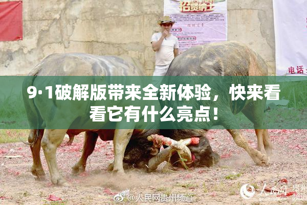 9·1破解版带来全新体验，快来看看它有什么亮点！