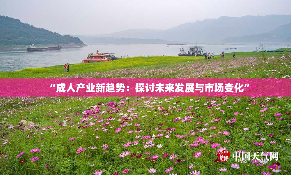 “成人产业新趋势：探讨未来发展与市场变化”