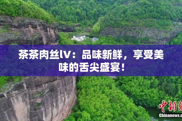 茶茶肉丝lV：品味新鲜，享受美味的舌尖盛宴！