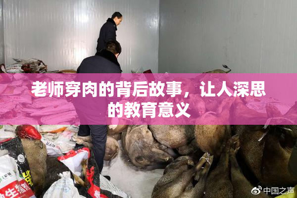 老师穿肉的背后故事，让人深思的教育意义