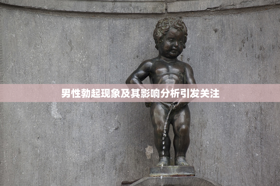 男性勃起现象及其影响分析引发关注