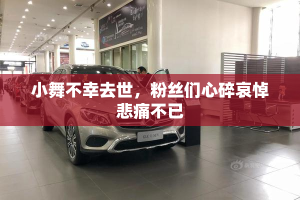 小舞不幸去世，粉丝们心碎哀悼悲痛不已