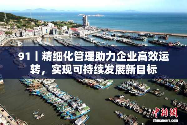 91丨精细化管理助力企业高效运转，实现可持续发展新目标