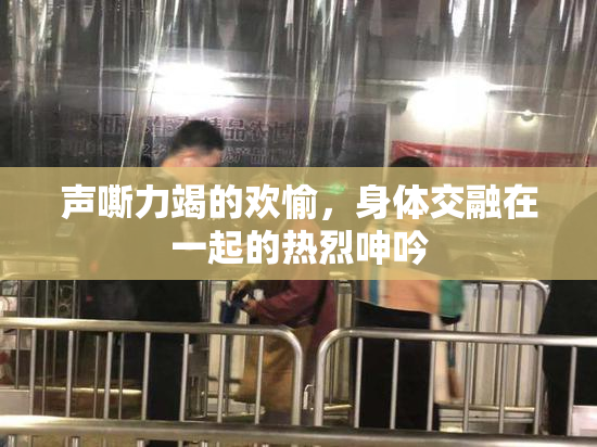 声嘶力竭的欢愉，身体交融在一起的热烈呻吟