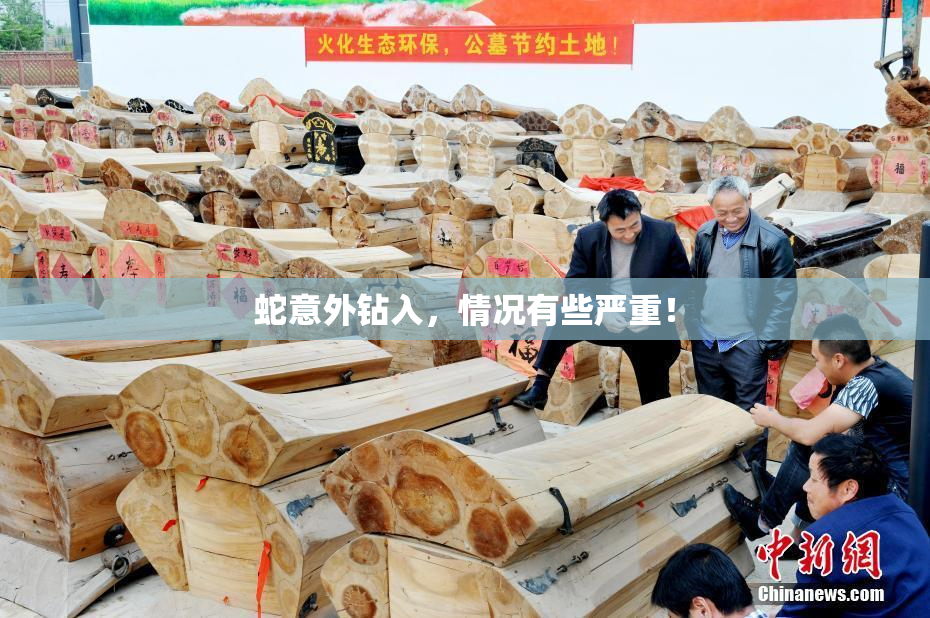 蛇意外钻入，情况有些严重！