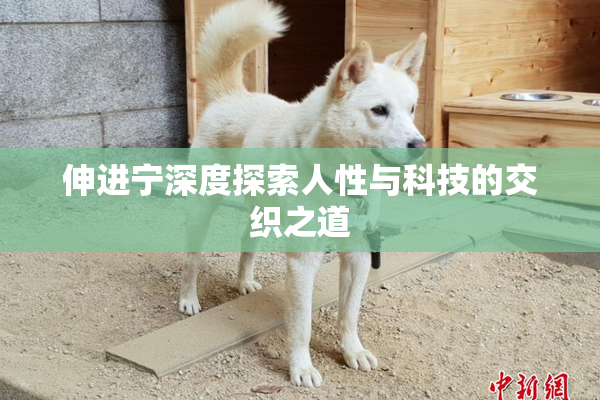 伸进宁深度探索人性与科技的交织之道