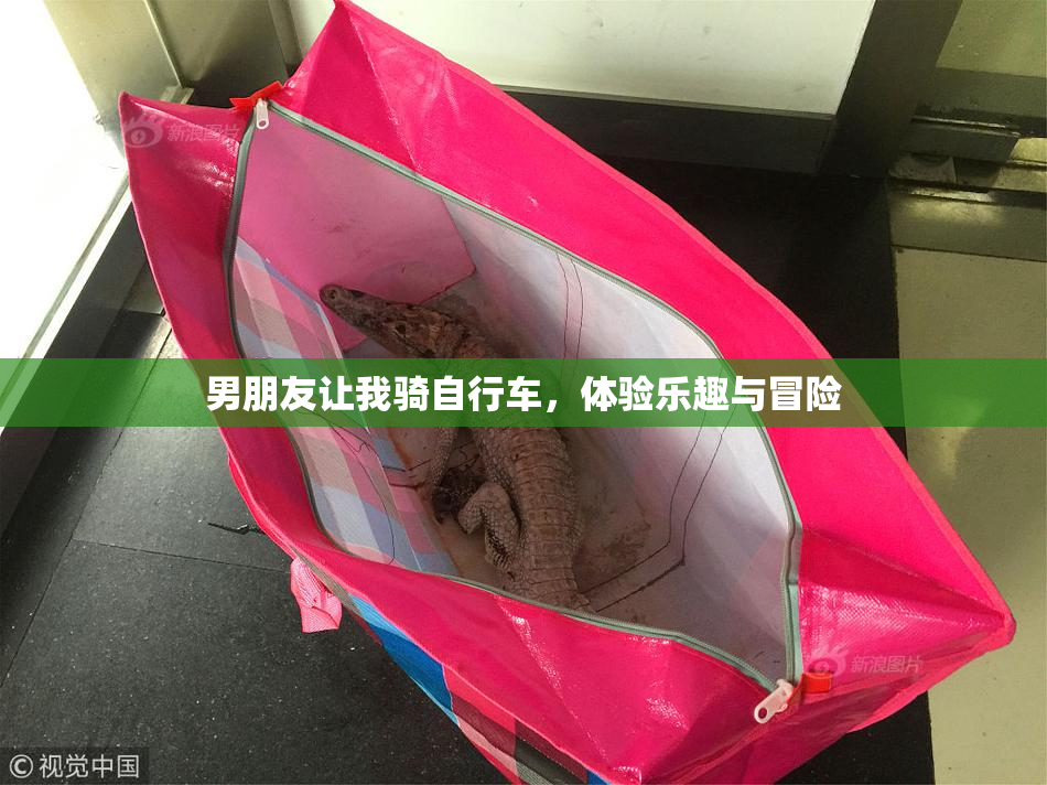 男朋友让我骑自行车，体验乐趣与冒险