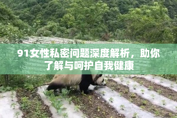 91女性私密问题深度解析，助你了解与呵护自我健康