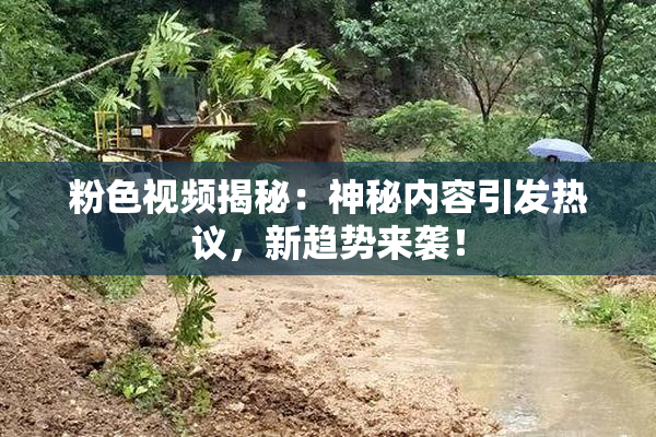 粉色视频揭秘：神秘内容引发热议，新趋势来袭！