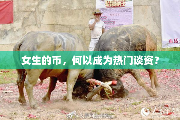 女生的币，何以成为热门谈资？