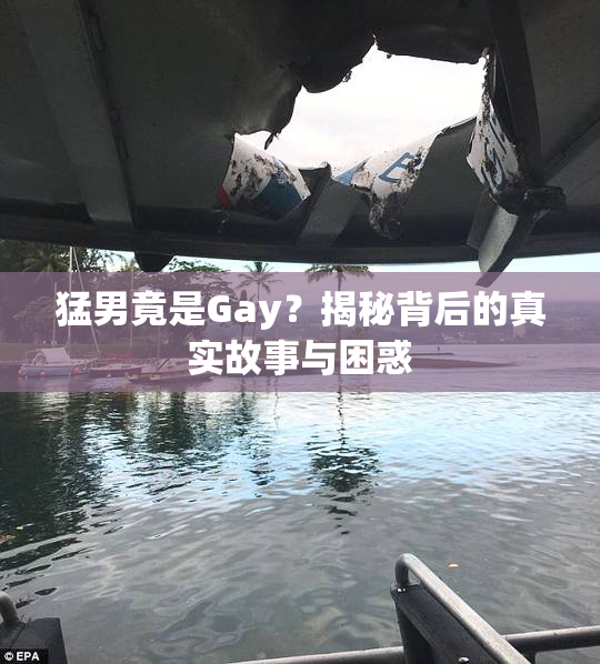 猛男竟是Gay？揭秘背后的真实故事与困惑