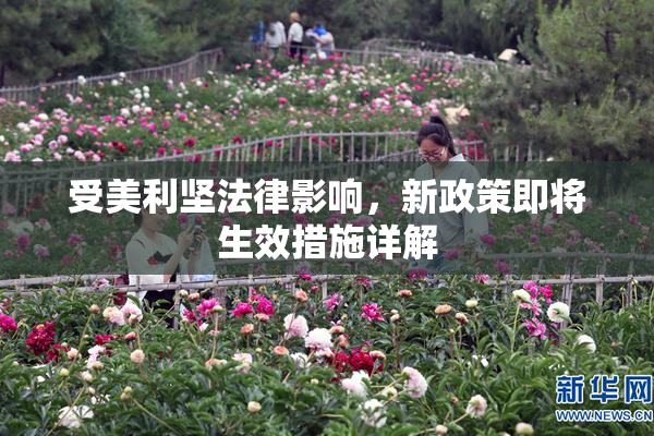 受美利坚法律影响，新政策即将生效措施详解
