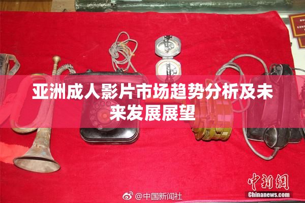 亚洲成人影片市场趋势分析及未来发展展望