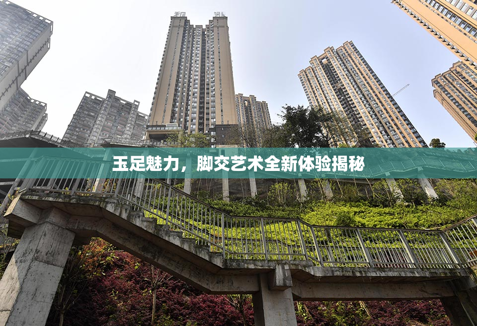 玉足魅力，脚交艺术全新体验揭秘