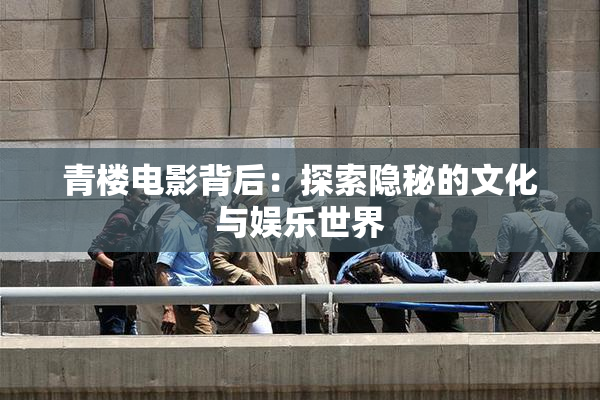 青楼电影背后：探索隐秘的文化与娱乐世界