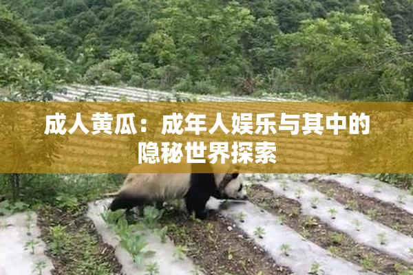 成人黄瓜：成年人娱乐与其中的隐秘世界探索