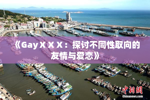 《GayⅩⅩⅩ：探讨不同性取向的友情与爱恋》