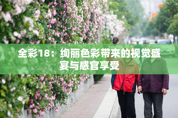全彩18：绚丽色彩带来的视觉盛宴与感官享受