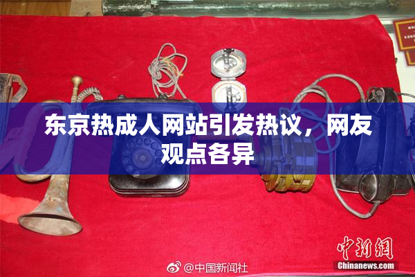 东京热成人网站引发热议，网友观点各异