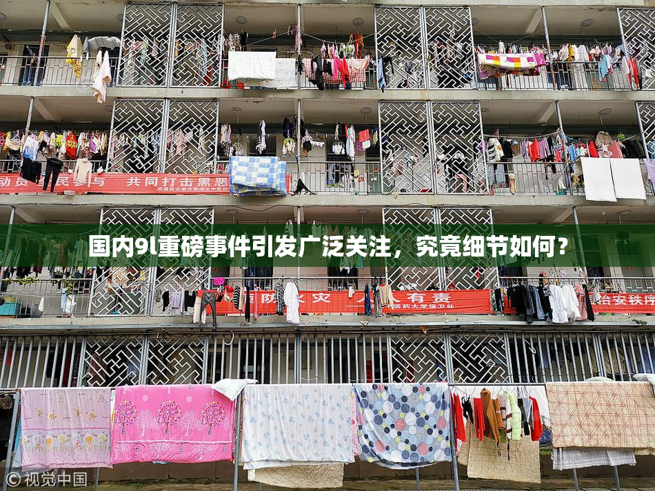 国内9l重磅事件引发广泛关注，究竟细节如何？