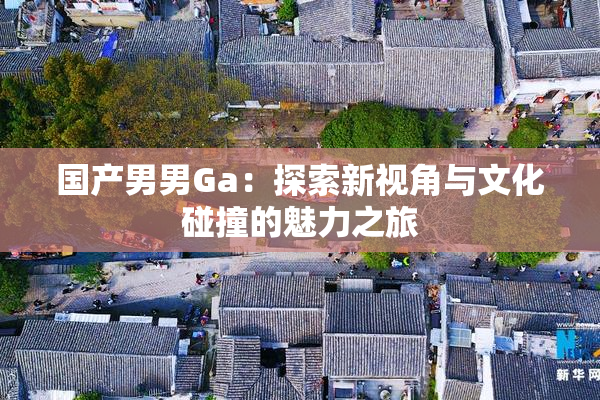 国产男男Ga：探索新视角与文化碰撞的魅力之旅