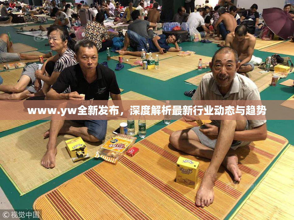www.yw全新发布，深度解析最新行业动态与趋势