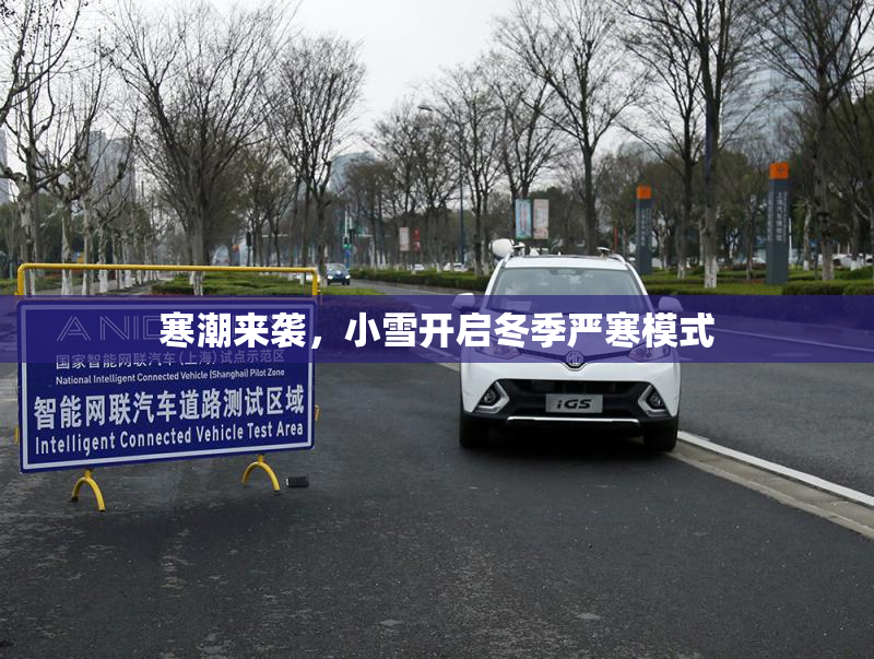 寒潮来袭，小雪开启冬季严寒模式