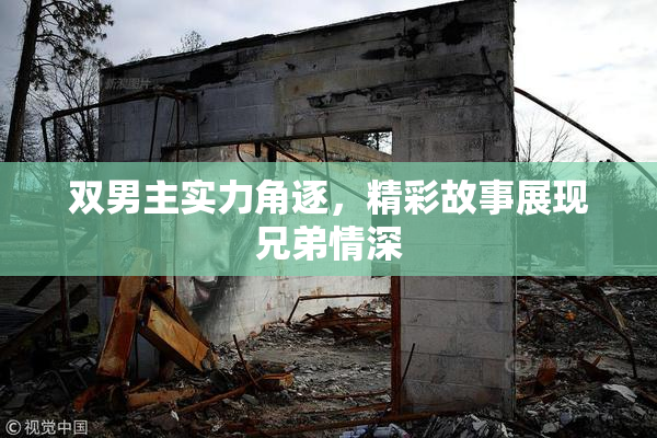 双男主实力角逐，精彩故事展现兄弟情深