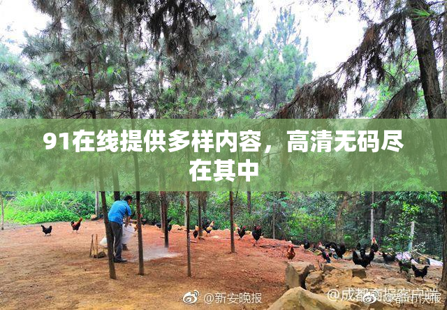 91在线提供多样内容，高清无码尽在其中