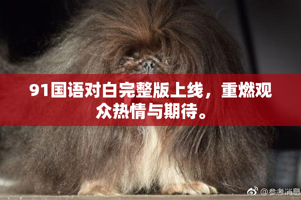91国语对白完整版上线，重燃观众热情与期待。