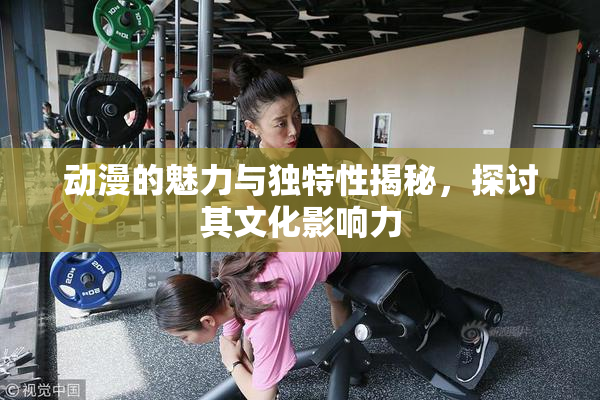 动漫的魅力与独特性揭秘，探讨其文化影响力