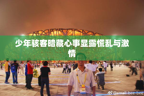 少年骇客暗藏心事显露慌乱与激情