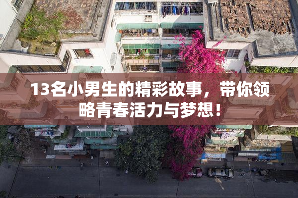 13名小男生的精彩故事，带你领略青春活力与梦想！