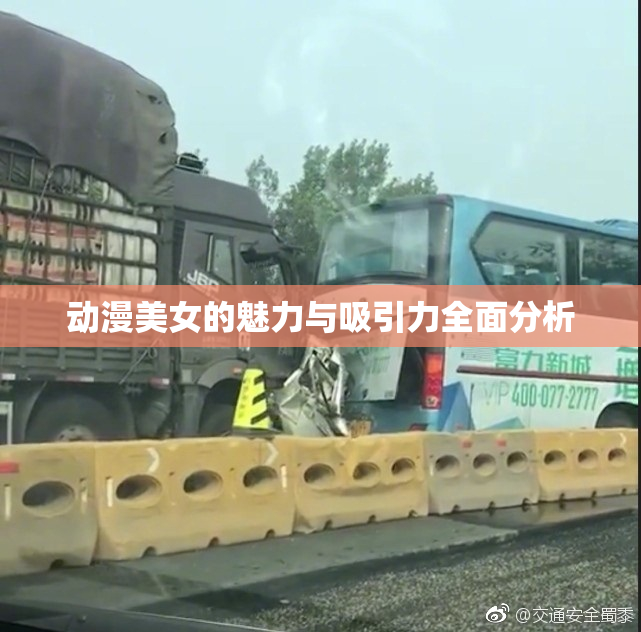 动漫美女的魅力与吸引力全面分析