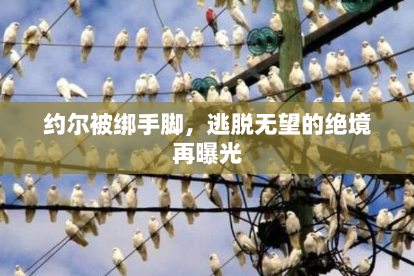 约尔被绑手脚，逃脱无望的绝境再曝光