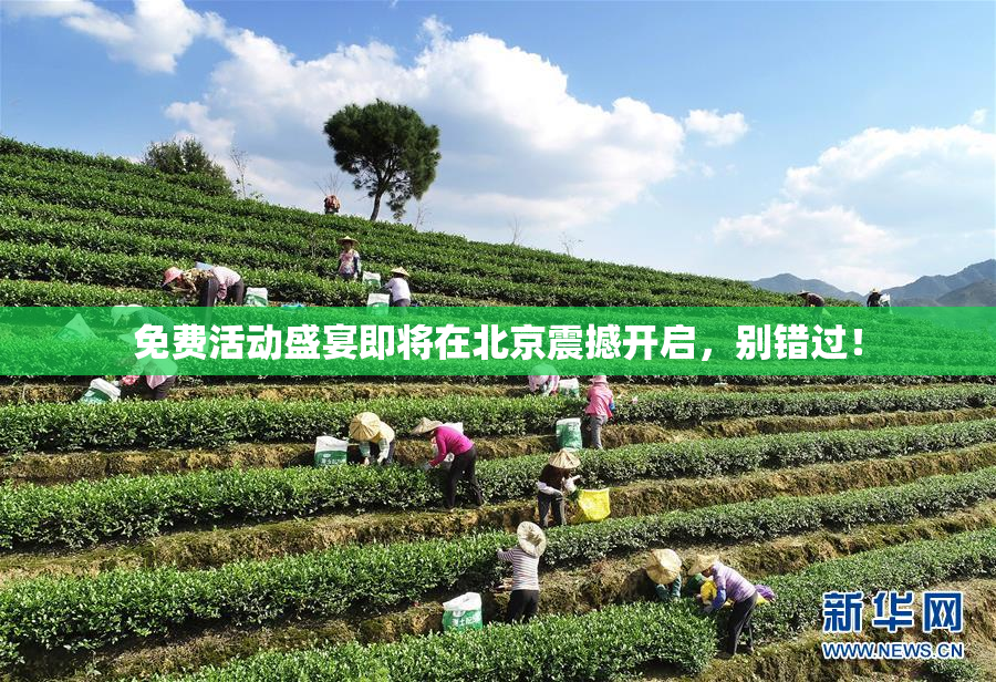 免费活动盛宴即将在北京震撼开启，别错过！