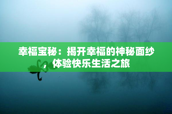 幸福宝秘：揭开幸福的神秘面纱，体验快乐生活之旅