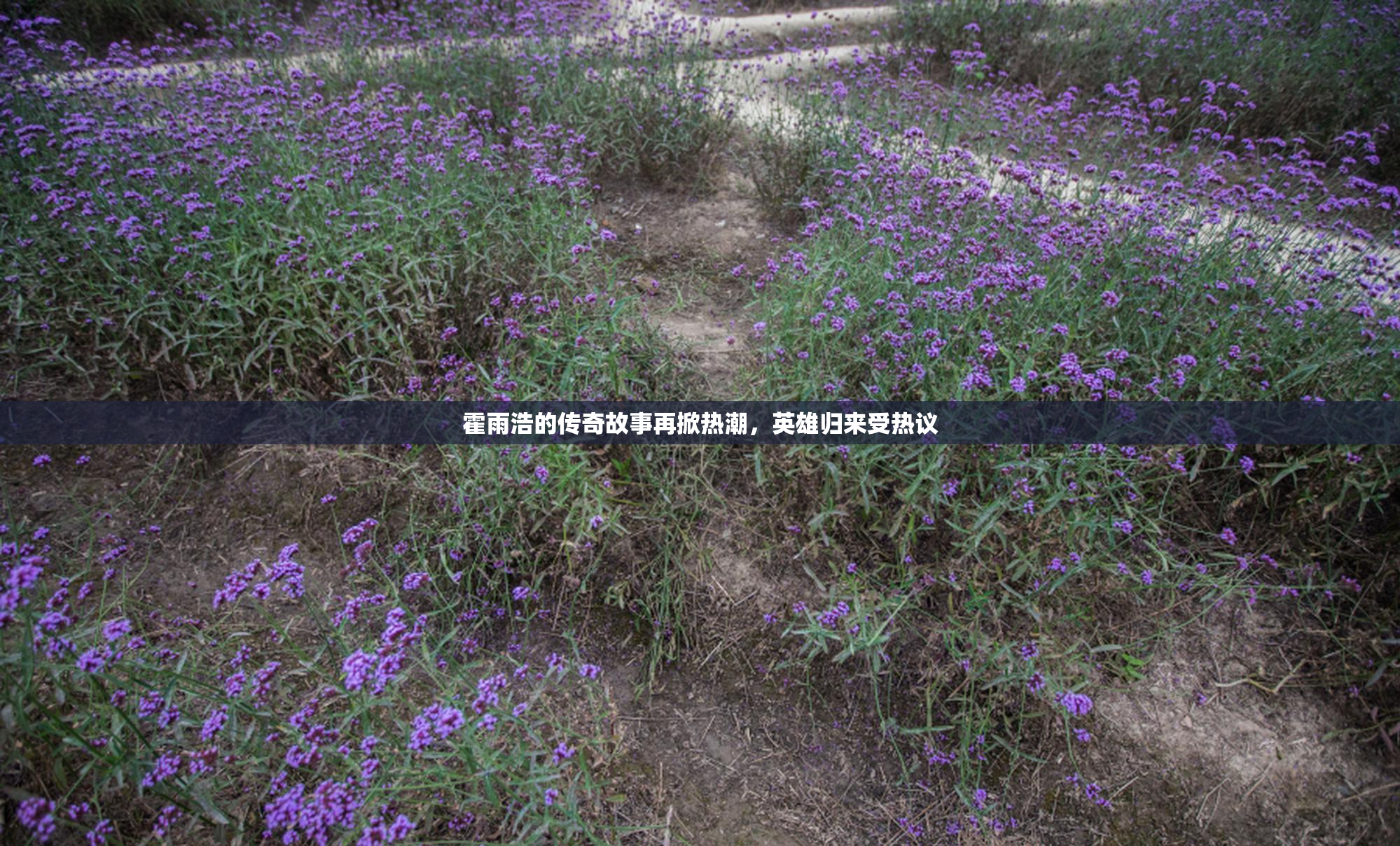 霍雨浩的传奇故事再掀热潮，英雄归来受热议