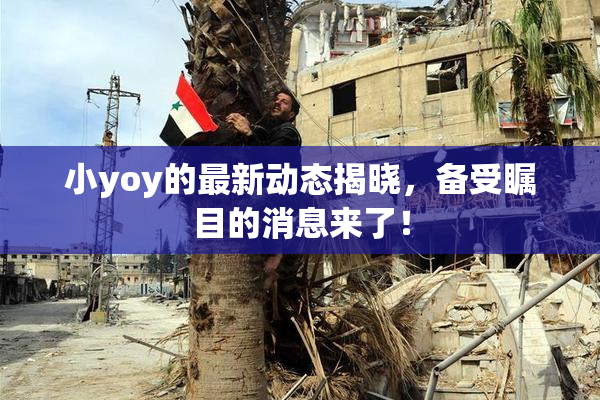 小yoy的最新动态揭晓，备受瞩目的消息来了！