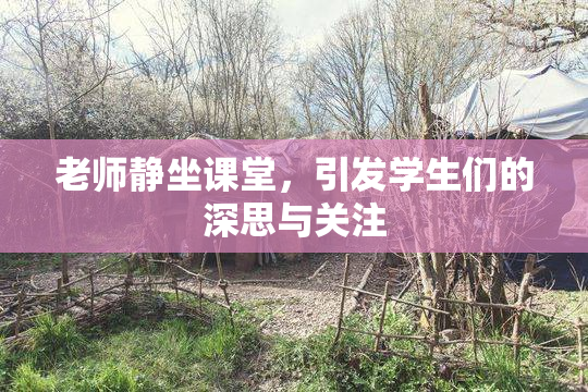 老师静坐课堂，引发学生们的深思与关注